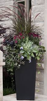 Fall Container Gardens Winter