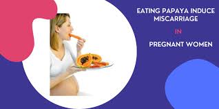 does eating papaya induce miscarriage