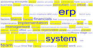 A Qualitative Study of the Critical Success Factors of ERP System    