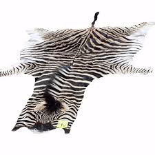 burc s zebra skin