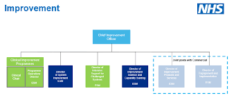 Full Details New Nhs England And Improvement Structure