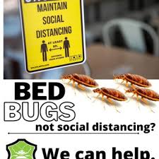Cny Bed Bug Extermination 10 Photos