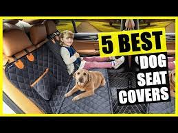 Best Dog Car Seat Cover For Back Seat