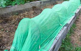 Best Shade Covers For Vegetables