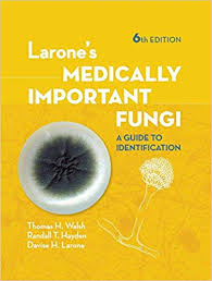 Larones Medically Important Fungi A Guide To