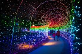 171 acres of botanical garden lights