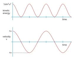 graphs describing simple harmonic