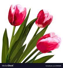 watercolor beautiful tulips flowers
