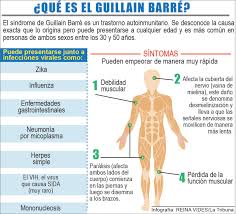 El síndrome de guillain barré es un problema de salud grave. Sindrome Guillain Barre Clinicas Perez Aguilar
