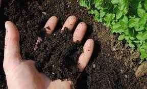 Tips For Amending Problem Soils The