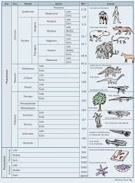 Njyloolus Geologic Time Scale Animals