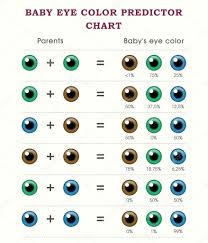 Pictures All Eye Colors With Baby Eye Color Predictor