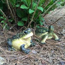 Turtle And Bullfrog Combo Pack
