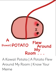 A potato flew around my room. I Kawaii Potato Flew My Room Around A Kawaii Potato A Potato Flew Around My Room Know Your Meme Meme On Awwmemes Com