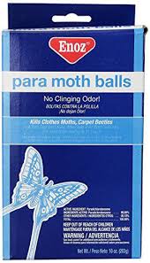 enoz para moth for moths