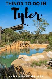 30 Things To Do In Tyler Tx My Curly