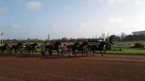 Retraite des chevaux de course
