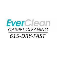 14 best nashville carpet cleaners