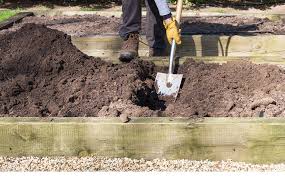How To Start A Garden Bed From Scratch