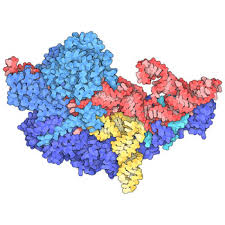 Access the university on the go: Rcsb Pdb Homepage