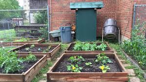 Healthy Habits With Classroom Garden