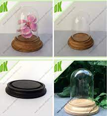decorative clear glass bell jar dome