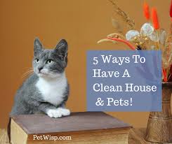 Keeping a pet is a blissful experience for most of us, but pets do make messes. Five Ways To Have A Clean House And A Pet Petwisp