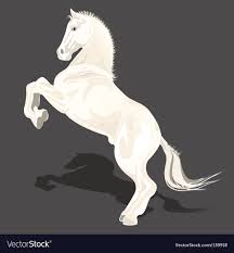 white horse royalty free vector image