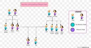Pedigree Chart Family Tree Genetics Purebred Png 800x433px