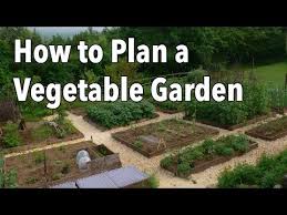 garden layout vegetable gardening
