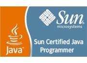 Image result for Sun Certified Java Programmer image