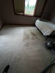 carpet cleaning in slc ogden mr
