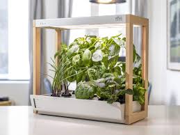 the best indoor herb garden 2023