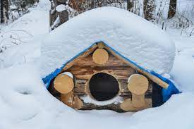 Is A Heated Insulated Dog House Necessary For Winter? - Dr. Marty Pets