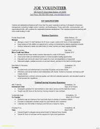 Best Business Resume Template New Format Cover Letter For Resume