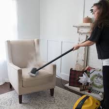 using a carpet steamer to get your home