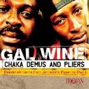 Gal Wine: Dancehall Gems from Jamaica's Dynamic Duo