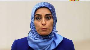 Zehra Taşkesenlioğlu'ndan Mine Tozlu Sineren'e suç duyurusu - "Kendine  Demokrat" Olmayan Haberler