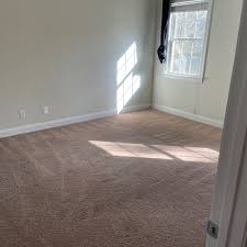 carpet cleaning in wilmington nc