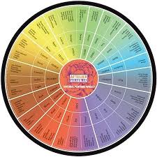 Aftelier Natural Perfume Wheel Essential Oil Scents