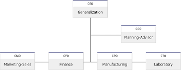 Organizational Chart Qin