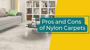 pros and cons of nylon carpets go