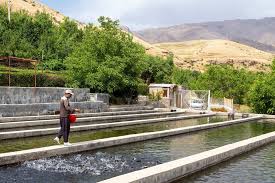 Once the time is up or you fulfill the. Construction Of Iran S Biggest Super Intensive Fish Farm Begins Financial Tribune