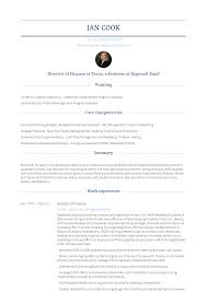 Director Of Finance Resume Samples And Templates Visualcv
