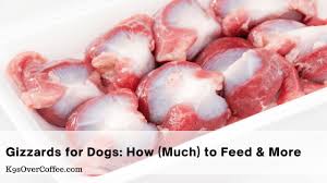 gizzards for dogs how much to feed