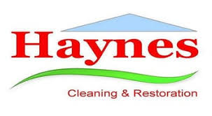 haynes cleaning restoration reviews
