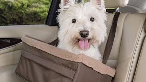Best Dog Car Seats For 2021