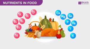 what are nutrients types and