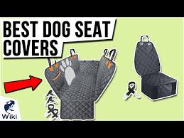 10 Best Dog Seat Covers 2021