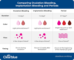 ovulation bleeding